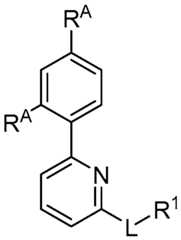 Figure imgf000010_0002