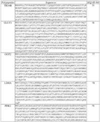 Figure imgf000013_0001