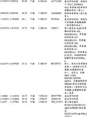 Figure BPA00001280678301241