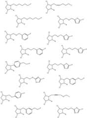 Figure imgf000013_0001