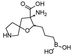 Figure imgf000236_0002