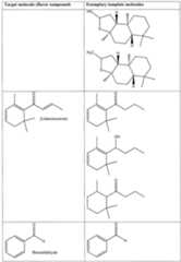 Figure imgf000016_0001