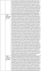 Figure BDA0004033970230004821