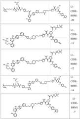 Figure FDA0004113777300000261