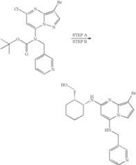 Figure US07119200-20061010-C01676