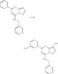 Figure US07119200-20061010-C01656