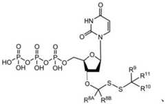 Figure BDA0003670511740003431