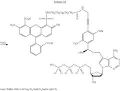 Figure US08889860-20141118-C00033