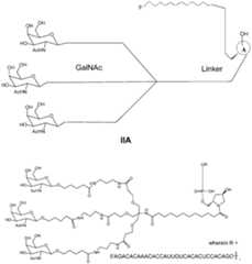 Figure imgf000008_0001