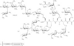 Figure US07824687-20101102-C00100