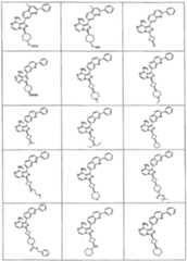 Figure imgf000025_0001