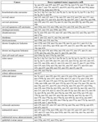 Figure imgf000134_0001