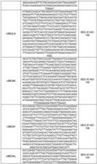 Figure imgf000110_0001