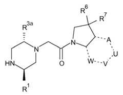 Figure 112013104759925-pct00031