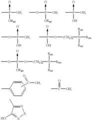 Figure US06175021-20010116-C00019