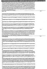 Figure GPA00001077157301161