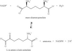 Figure US08133704-20120313-C00018