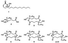 Figure imgf000033_0002