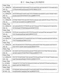 Figure 108140278-A0101-12-0018-4