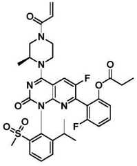 Figure BDA0002861043520000941