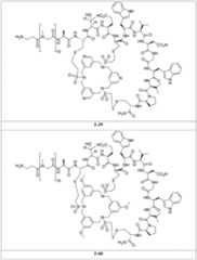 Figure 2024156841000346