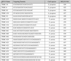 Figure imgf000365_0001