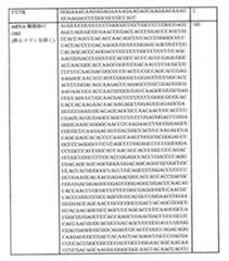 Figure 0007438604000110