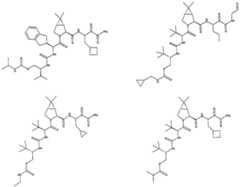 Figure imgf000254_0001