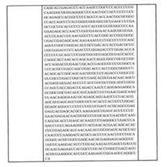 Figure 0007438604000085