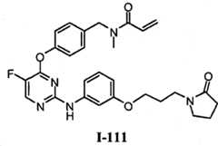 Figure BPA00001280125602501