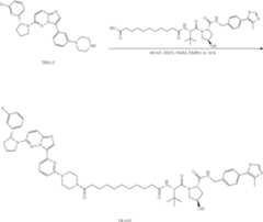 Figure US11969472-20240430-C00193