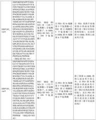 Figure BDA0002939076220001811