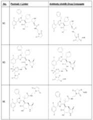 Figure imgf000035_0001