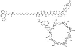 Figure BDA0002889616220003001