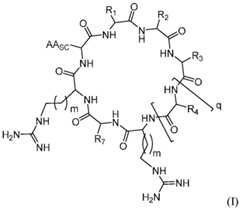 Figure imgf000101_0001
