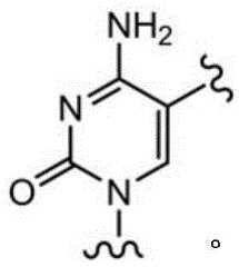 Figure BDA0003670511740001894