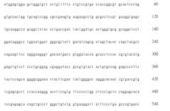 Figure 108123466-A0305-02-0598-570