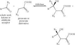 Figure US08546118-20131001-C00004