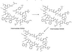 Figure imgf000073_0001