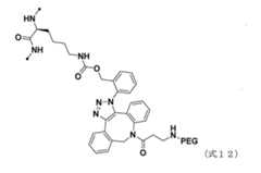 Figure JPOXMLDOC01-appb-C000130