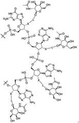 Figure FDA0003702321900000051