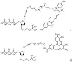 Figure BDA0003670511740001571