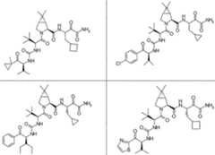 Figure imgf000167_0001