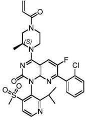 Figure BDA0002861043520000872