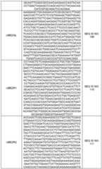 Figure imgf000112_0001