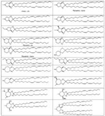 Figure imgf000033_0001