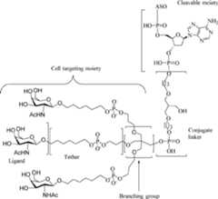 Figure AU2017203436B2_D0246