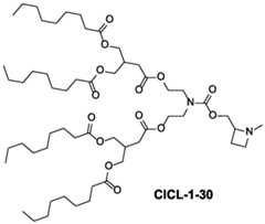 Figure imgf000041_0003