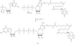 Figure US08093367-20120110-C00013