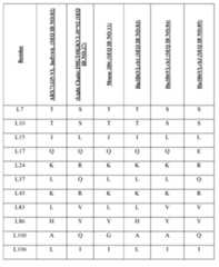 Figure imgf000102_0001
